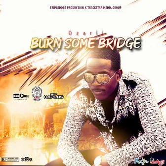 Burn Some Bridge by Ozarii