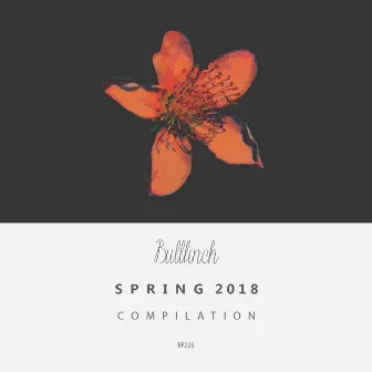 Bullfinch Spring 2018 Compilation by Iulianus