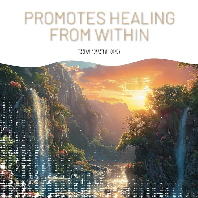 Promotes Healing from Within