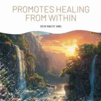 Promotes Healing from Within by Tibetan Monastery Sounds