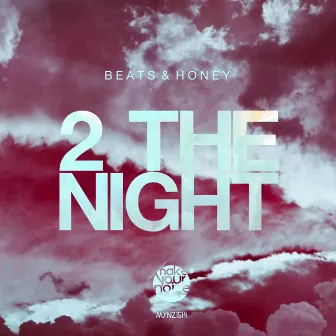 2 the Night by Rich & Stealth