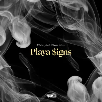 Playa $igns by Rokz