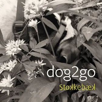 Dog2Go by Stokkebæk