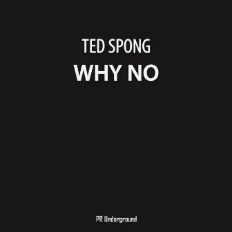 Why No by Ted Spong