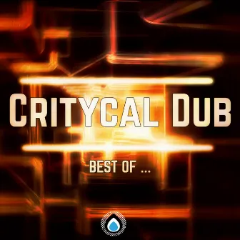 Best of ... Critycal Dub by Critycal Dub