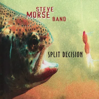 Split Decision by Steve Morse Band