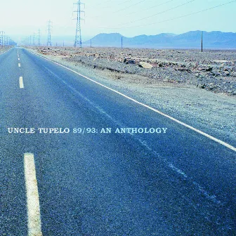 Uncle Tupelo 89/93: An Anthology by Uncle Tupelo