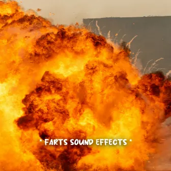 * farts sound effects * by Unknown Artist