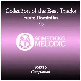 Collection of the Best Tracks From: Daminika, Pt. 3 by Daminika