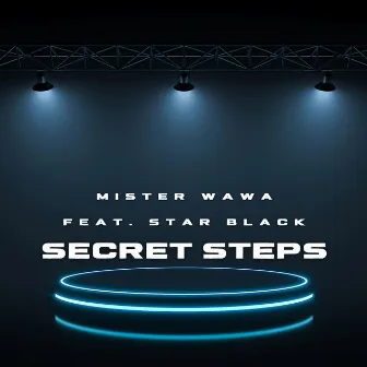 Secret Steps by Mister Wawa