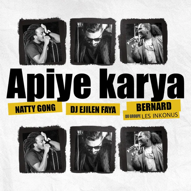 APIYE KARYA