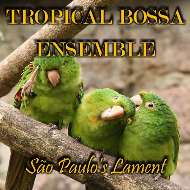 Tropical Bossa Ensemble