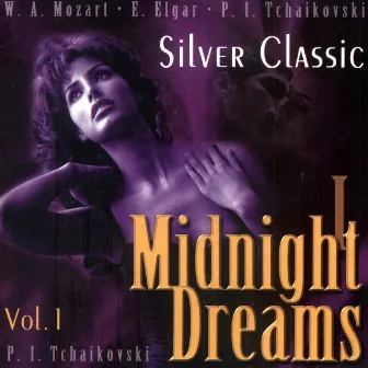 Midnight Dreams Vol. 1 by Renaissance Chamber Orchestra