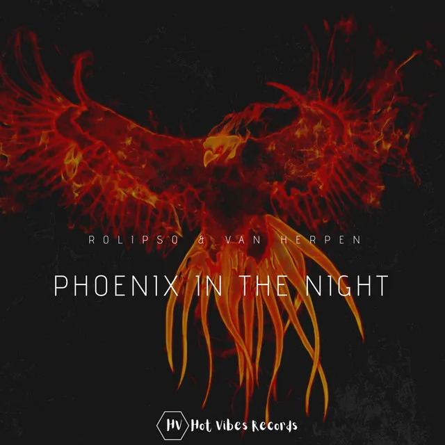 Phoenix in the Night