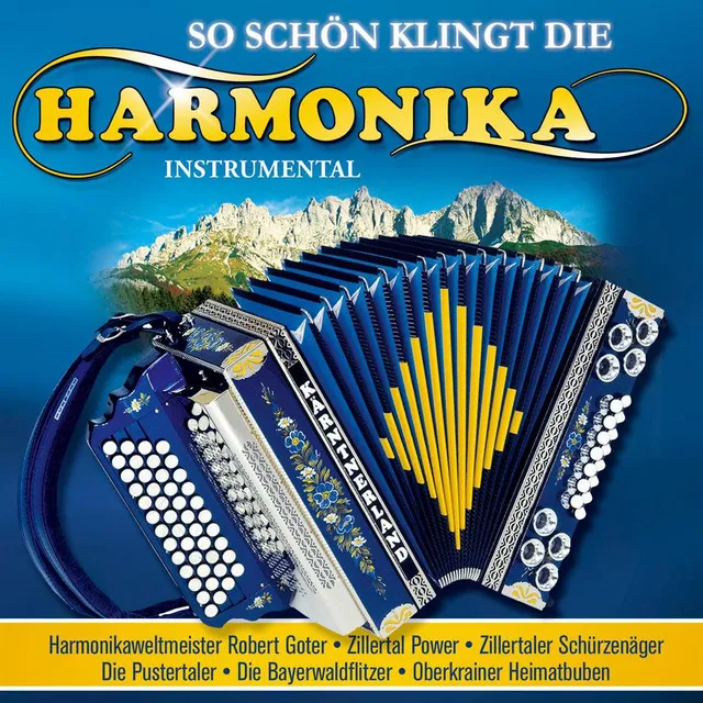 Der Harmonikaspieler