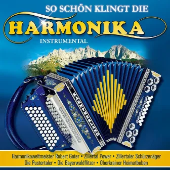 So schön klingt die Harmonika by Diverse Interpreten