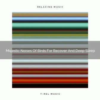 2021 New: Majestic Noises Of Birds For Recover And Deep Sleep by De-stressing White Noise