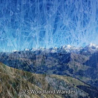 23 Woodland Wander by Outside Broadcast Recordings