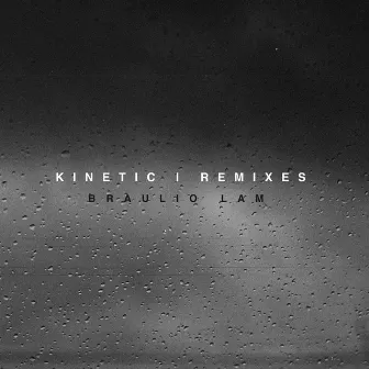 Kinetic (Remixes) by Braulio Lam