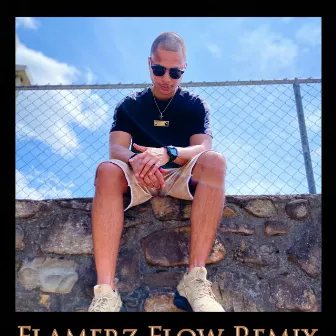 FLAMERZ FLOW (REMIX) by ZPO