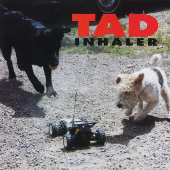 Inhaler by Tad