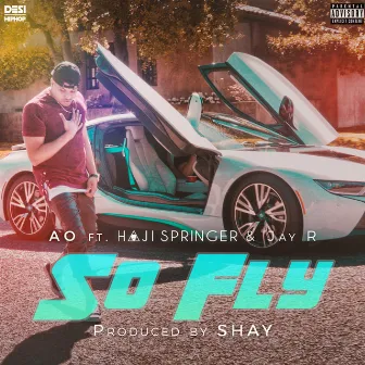 So Fly - Single by AO