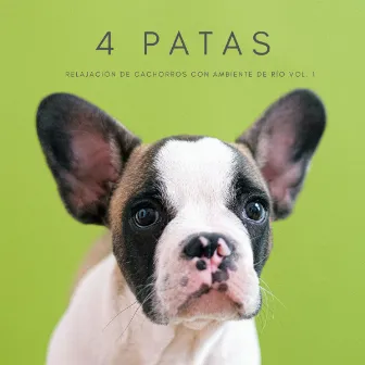 4 Patas: Relajación De Cachorros Con Ambiente De Río Vol. 1 by Calma y Relajación