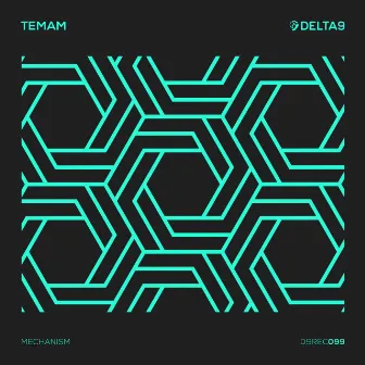 Mechanism by Temam