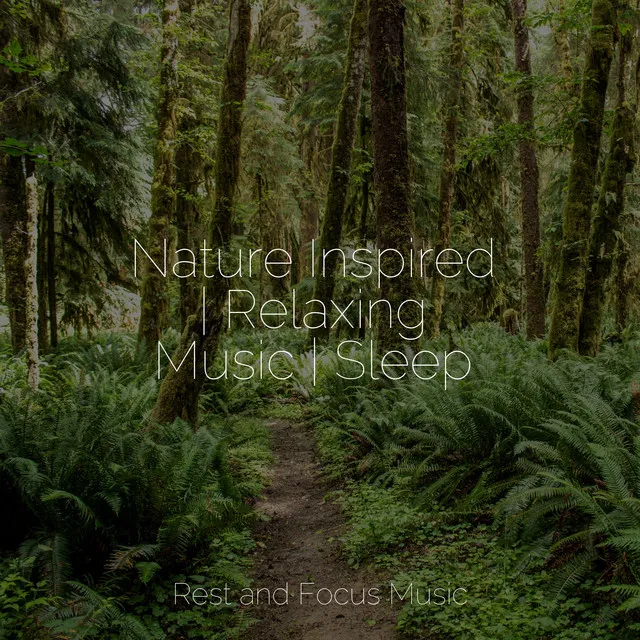 Nature Inspired | Relaxing Music | Sleep