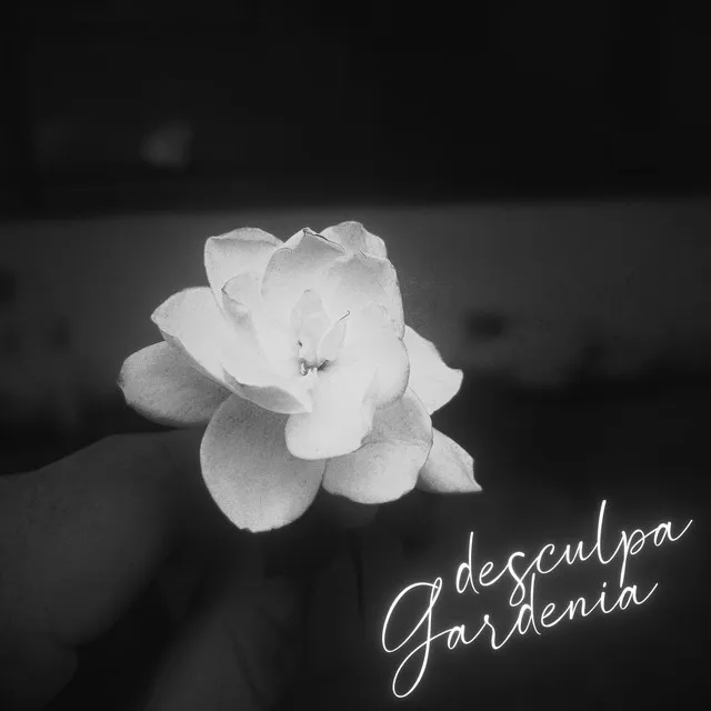 DESCULPA GARDENIA