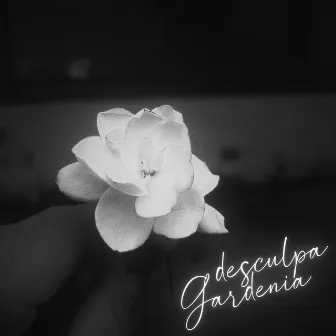 DESCULPA GARDENIA by ohayomatsu