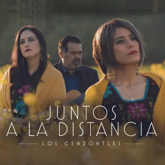 Juntos A La Distancia by Los Cenzontles