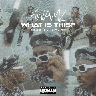 What is this? by KWAMZ