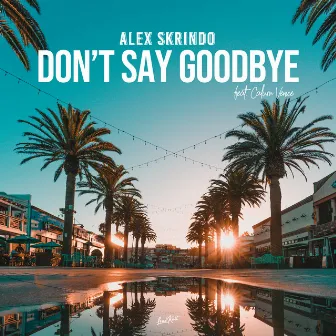 Don't Say Goodbye by Alex Skrindo