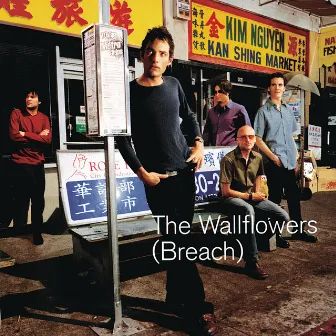 Breach by The Wallflowers