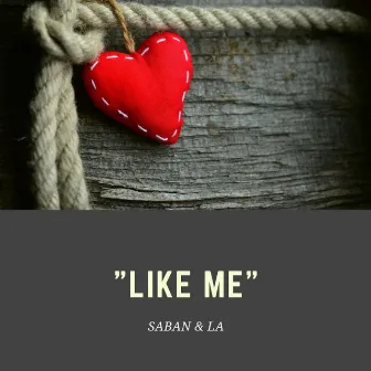 Like Me by LA