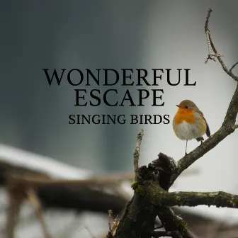 Singing Birds by Wonderful Escape