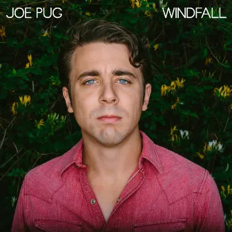 Windfall by Joe Pug