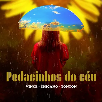 Pedacinhos do Céu by Vince Machado