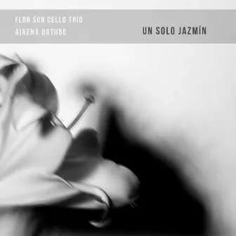 Un Solo Jazmín by Flor Sur Cello Trío