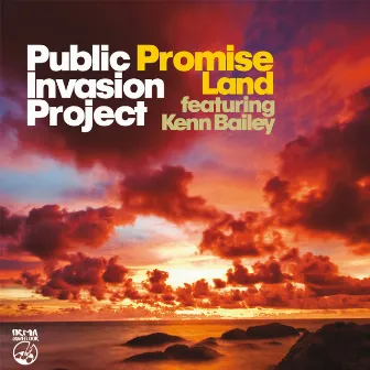 Promise Land by Public Invasion Project