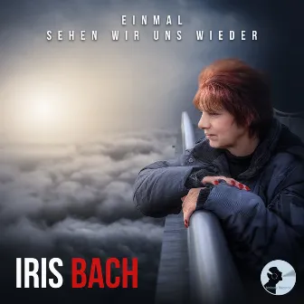 Einmal sehen wir uns wieder by Iris Bach