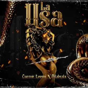 La Usa by Cuervo Loomi