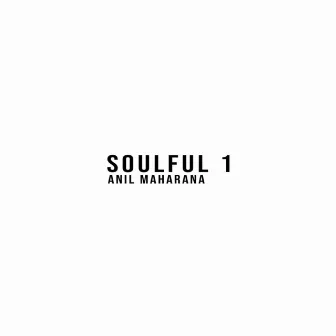 Soulful 1 (Instrumental) by Anil Maharana