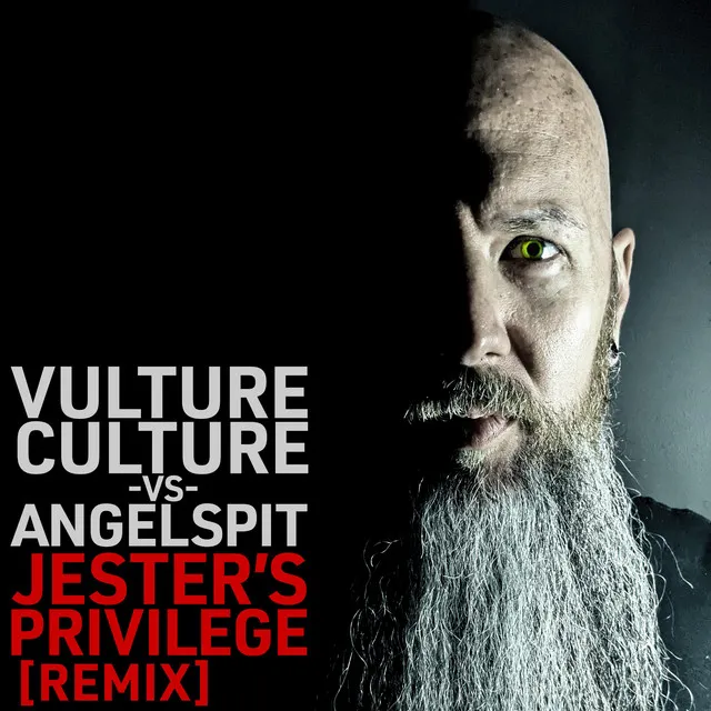 Jester's Privilege - Vulture Culture Remix