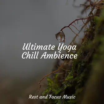 Ultimate Yoga Chill Ambience by Spa Isochronic Tones Lab