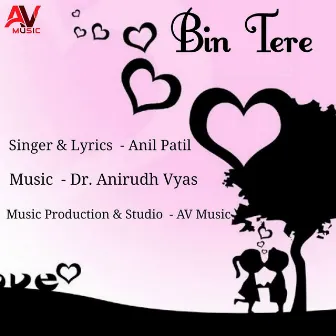 Bin Tere by Anil Patil