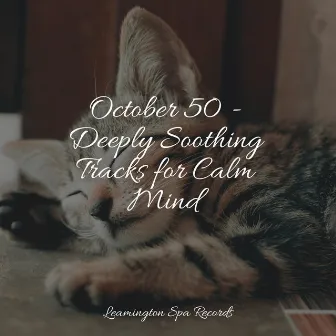 October 50 - Deeply Soothing Tracks for Calm Mind by Sound Healing Center