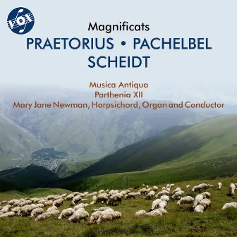 Praetorius, Pachelbel & Scheidt: Magnificats by Musica Antiqua