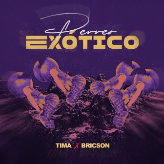 Perreo Exótico by Tima